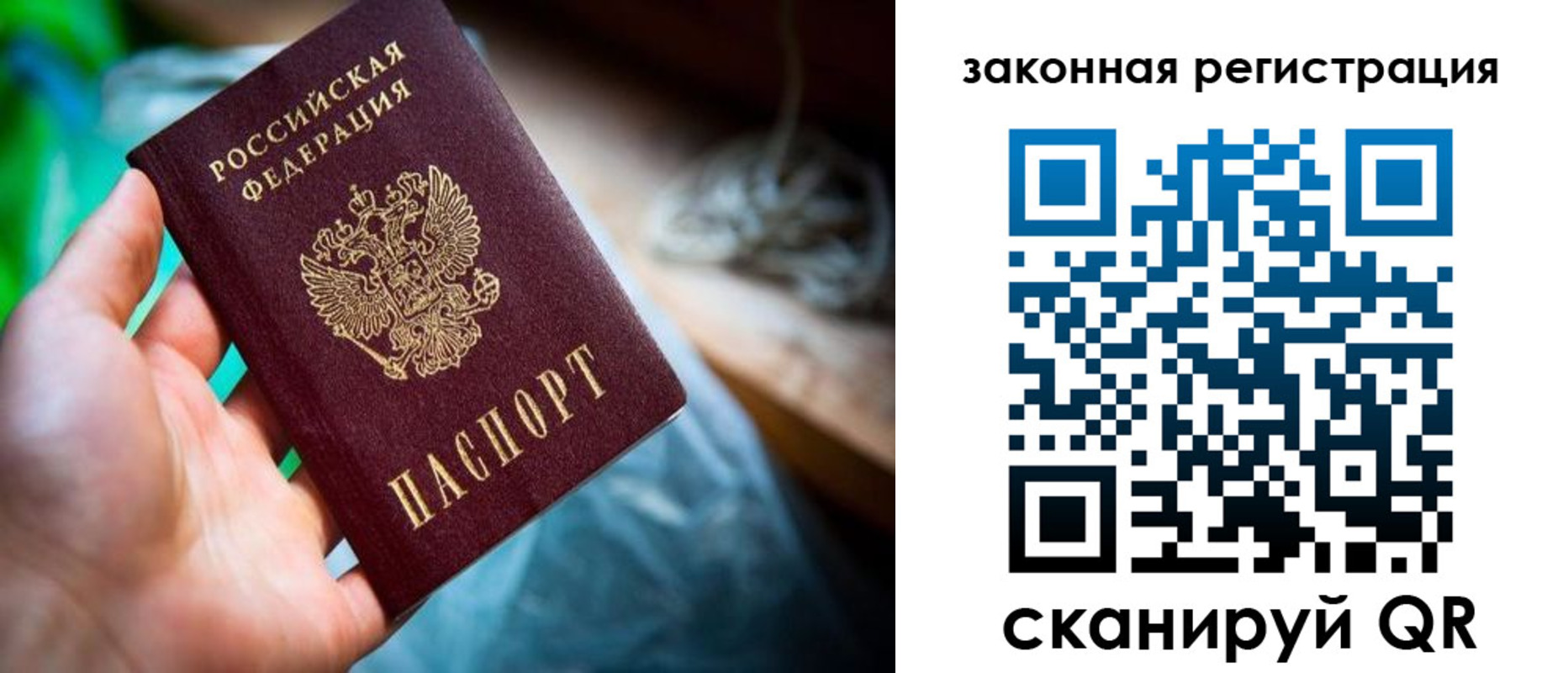 прописка в Лесном